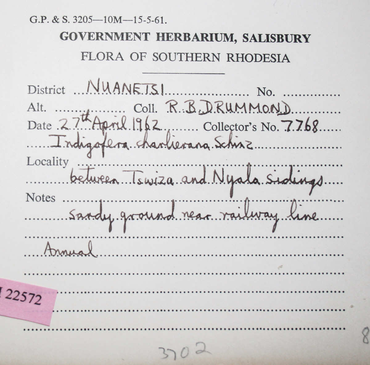 Indigofera charlieriana subsp. charlieriana var. charlieriana