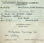 Aeschynomene trigonocarpa