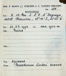 Afroligusticum claessensii