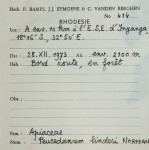 Afroligusticum claessensii