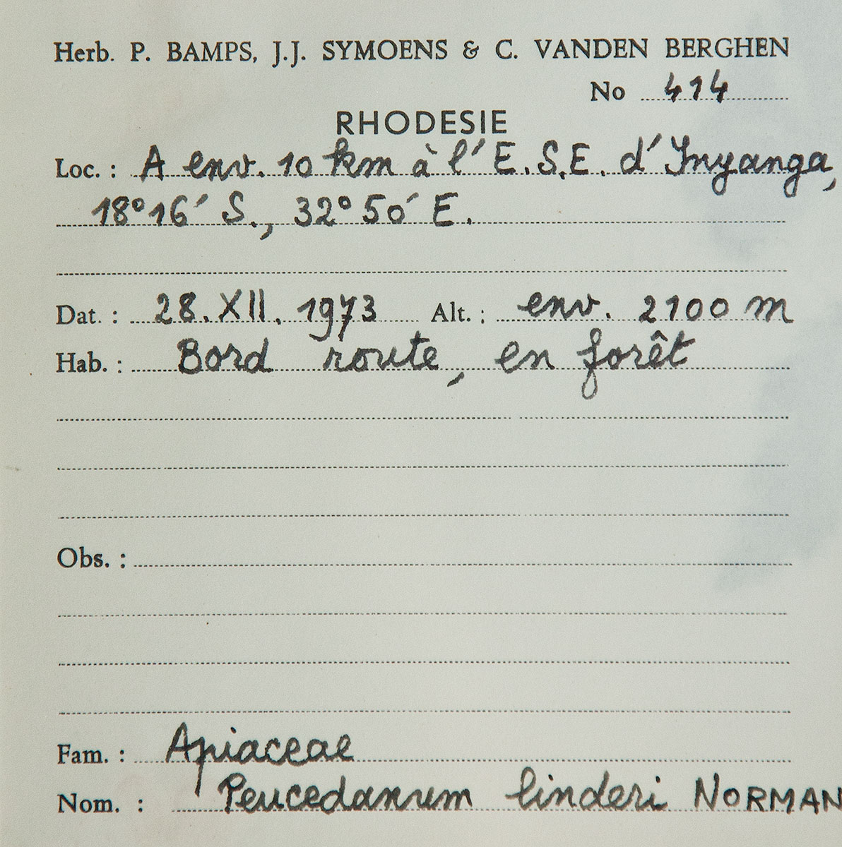 Afroligusticum claessensii