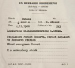 Lasianthus kilimandscharicus subsp. kilimandscharicus