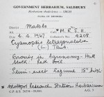 Cyamopsis tetragonoloba