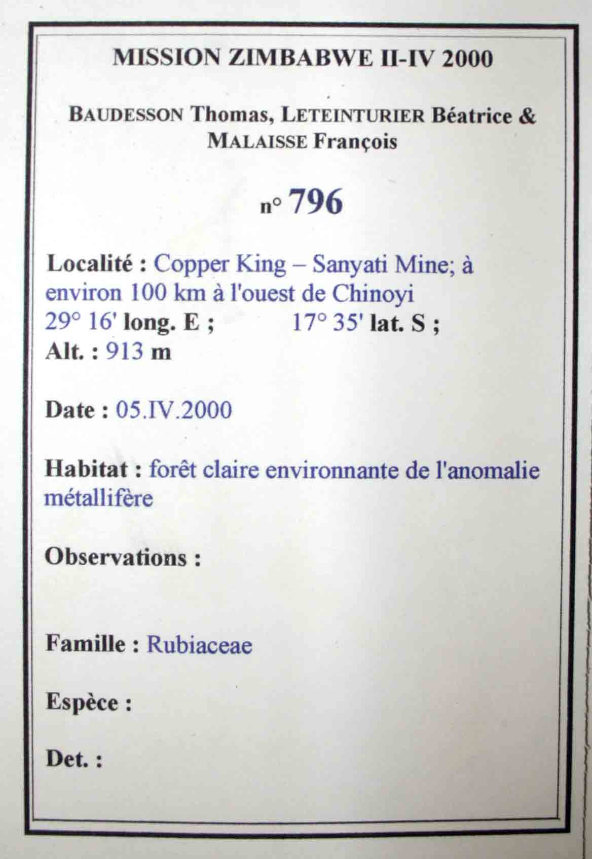 Agathisanthemum bojeri