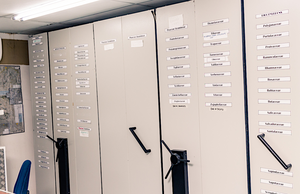 PSUB herbarium cabinets 2022.