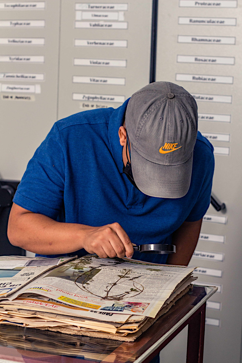 Looking for the diagnostic features before mounting the specimen.