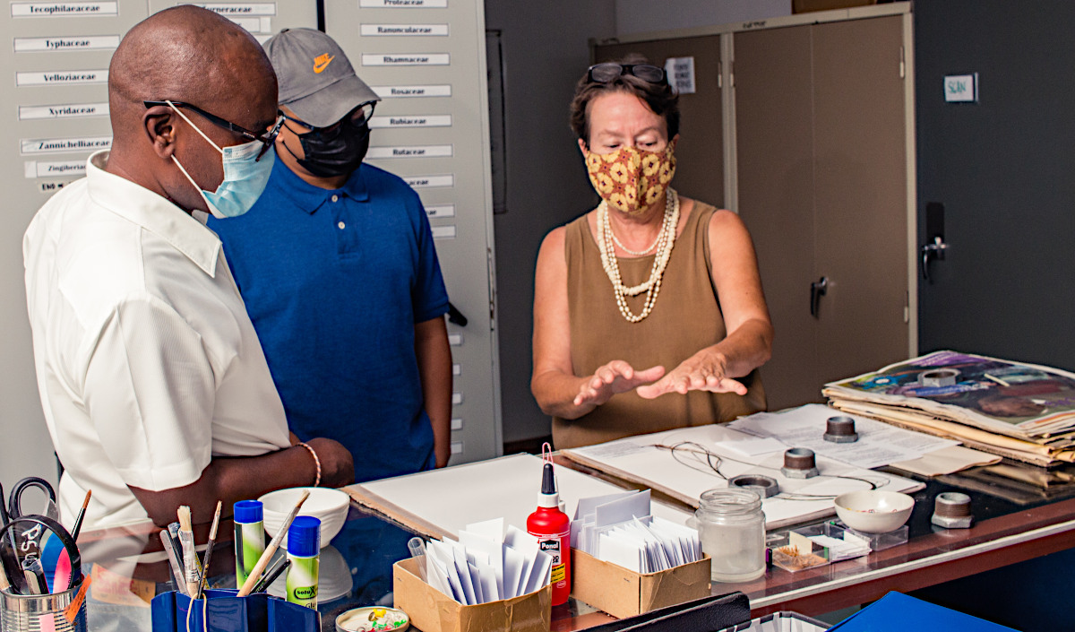 Describing the process of mounting a plant specimen.