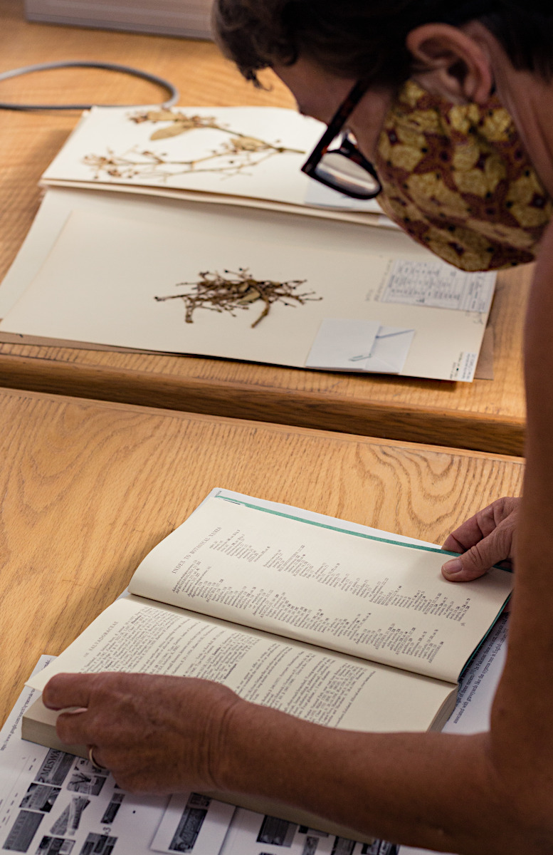 Cross-referencing and updating plant information.