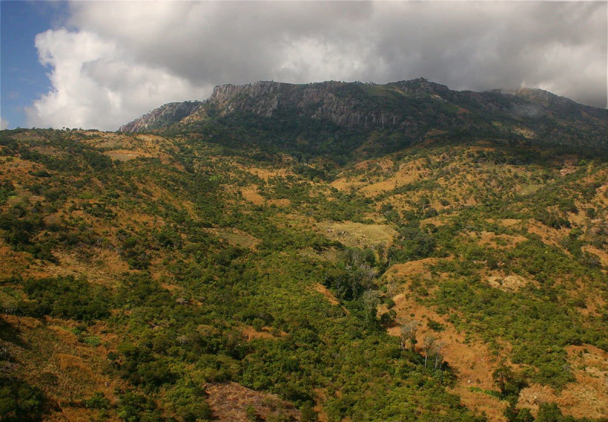 Mt Gorongsa from the drier northern slopes