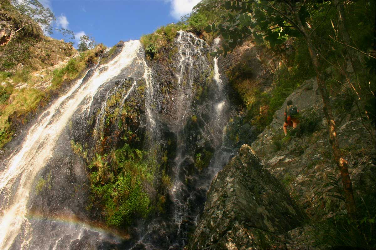 The waterfall at Tessa's Pool with Petra looking for ferns........as usual