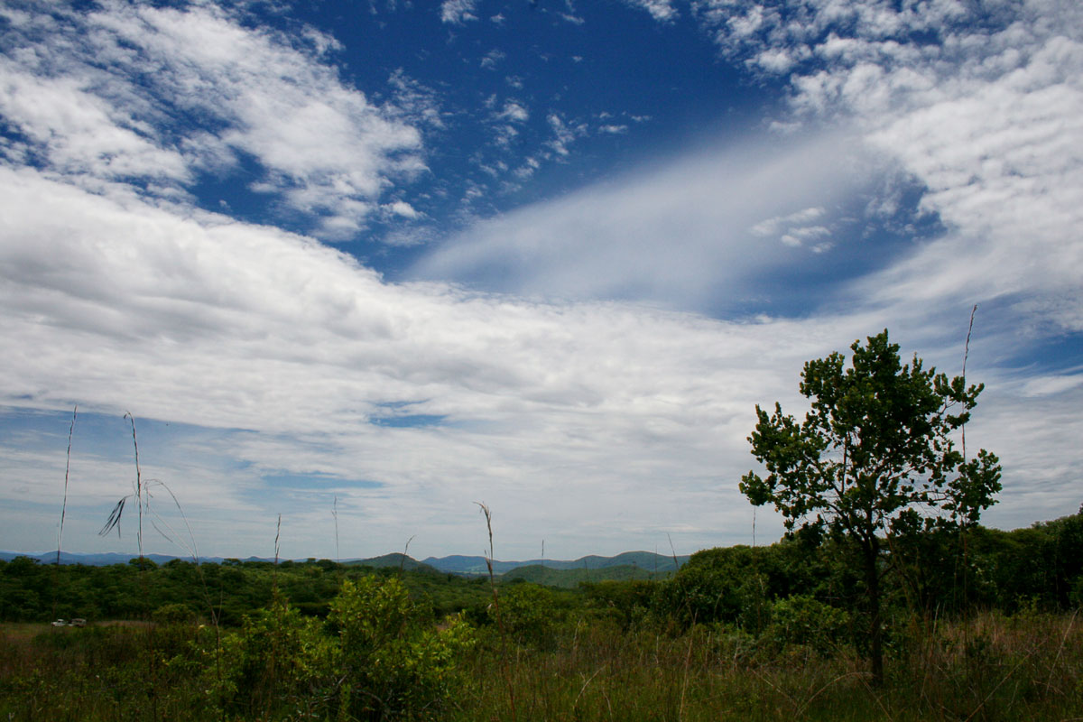 View towards the woodlands.