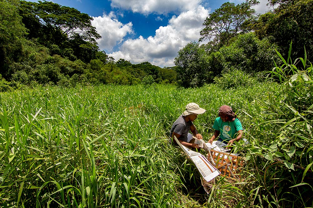 Adija and Isabel collecting specimens at Tava Marsh, Moribane