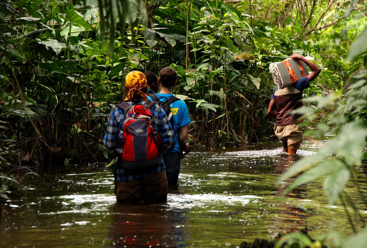 ....sometimes in very wet forests