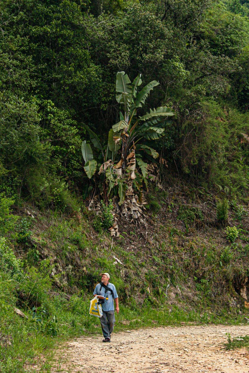 Bart at John Meikle Forestry Estate