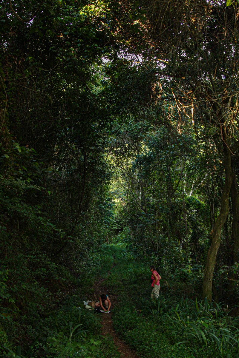 Petra and Cathy in forest at Nyahode river.