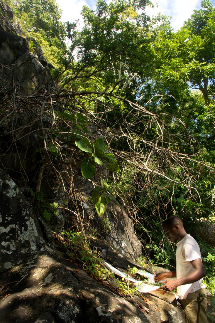 Tongai collecting material on Mt Bunga during the E.O. Wilson Biodiversity Survey of 2015.